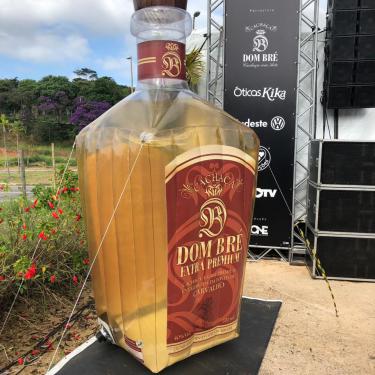 Réplica Garrafa de Cachaça - DOM BRÉ - 3m de altura